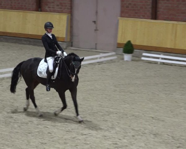 Reitturnier Hamburg-Friedrichshulde/Sylva Kuhrt 2021