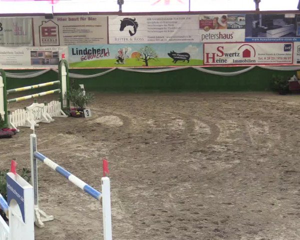 Reitturnier Keppeln - Reitanlage "Hötzenhof" 2019