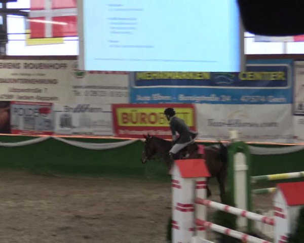 Reitturnier Keppeln - Reitanlage "Hötzenhof" 2019