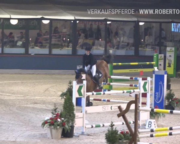 Reitturnier Oberriet 2019