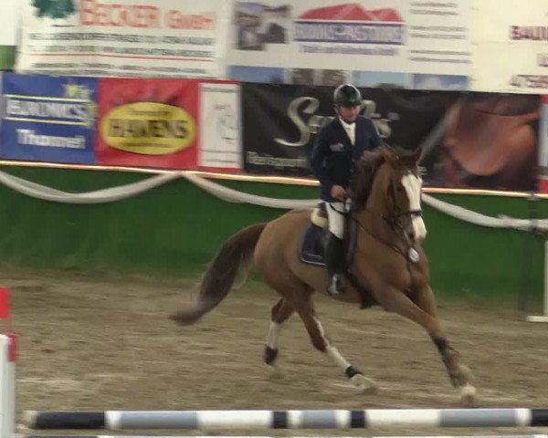 Reitturnier Keppeln - Reitanlage "Hötzenhof" 2019