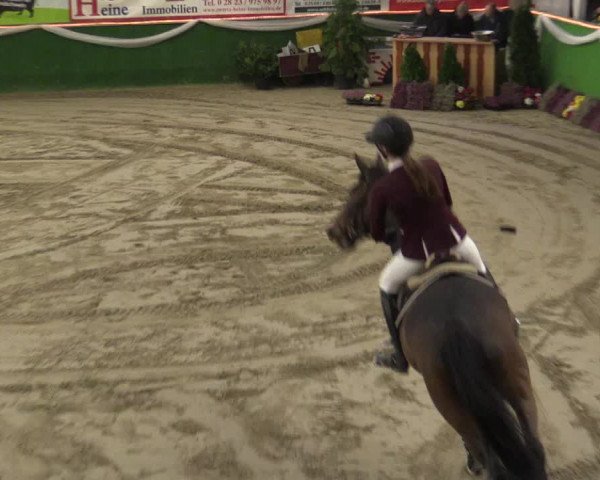 Reitturnier Keppeln - Reitanlage "Hötzenhof" 2019