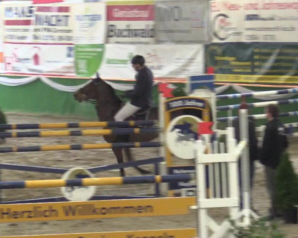 Reitturnier Keppeln - Reitanlage "Hötzenhof" 2019