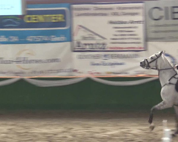 Reitturnier Keppeln - Reitanlage "Hötzenhof" 2019