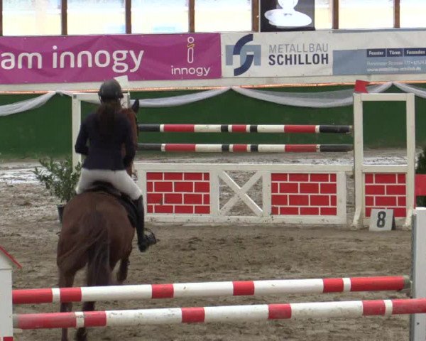 Reitturnier Keppeln - Reitanlage "Hötzenhof" 2019
