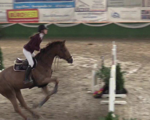 Reitturnier Keppeln - Reitanlage "Hötzenhof" 2019