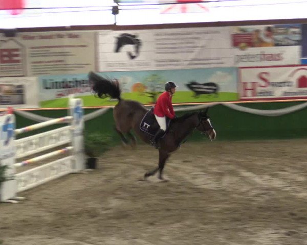 Reitturnier Keppeln - Reitanlage "Hötzenhof" 2019