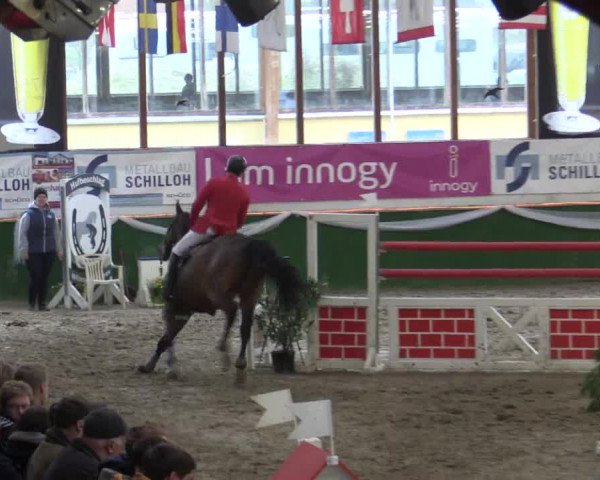 Reitturnier Keppeln - Reitanlage "Hötzenhof" 2019