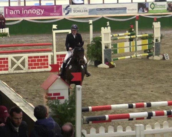 Reitturnier Keppeln - Reitanlage "Hötzenhof" 2019