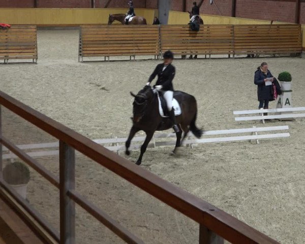 Reitturnier Hamburg-Friedrichshulde/Sylva Kuhrt 2021