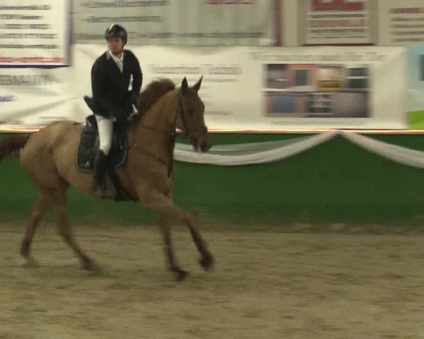 Reitturnier Keppeln - Reitanlage "Hötzenhof" 2019