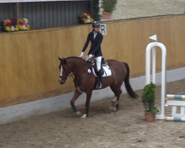 Reitturnier Monheim - Gut Blee 2019