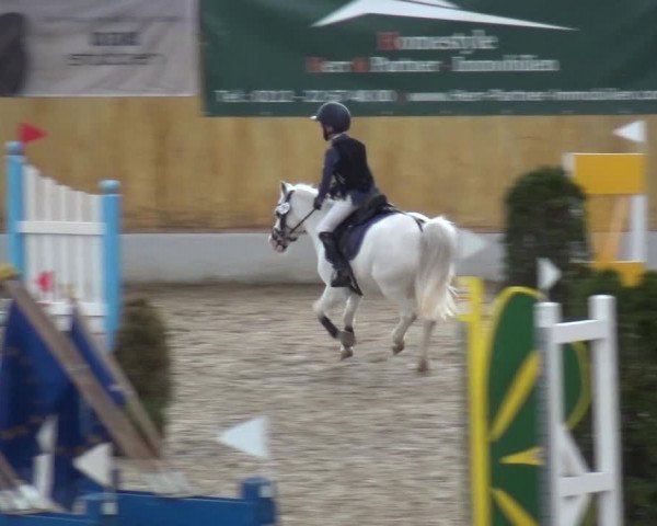 Reitturnier Monheim - Gut Blee 2019