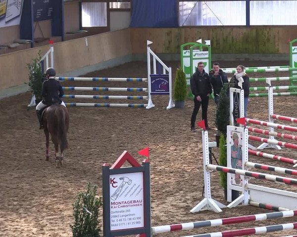 Reitturnier Großenwiehe 2019