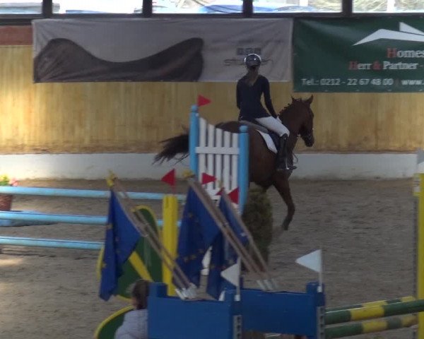 Reitturnier Monheim - Gut Blee 2019