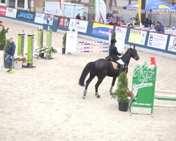 Reitturnier Oberriet 2019