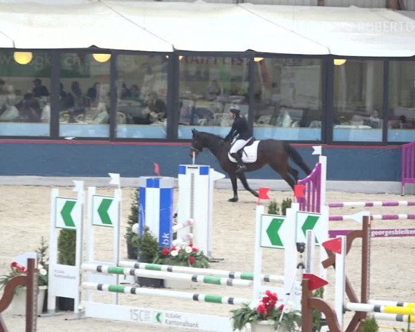 Reitturnier Oberriet 2019