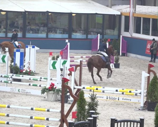 Reitturnier Oberriet 2019