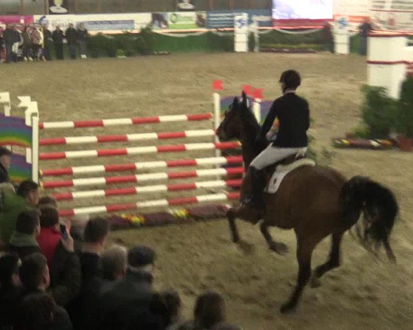 Reitturnier Keppeln - Reitanlage "Hötzenhof" 2019
