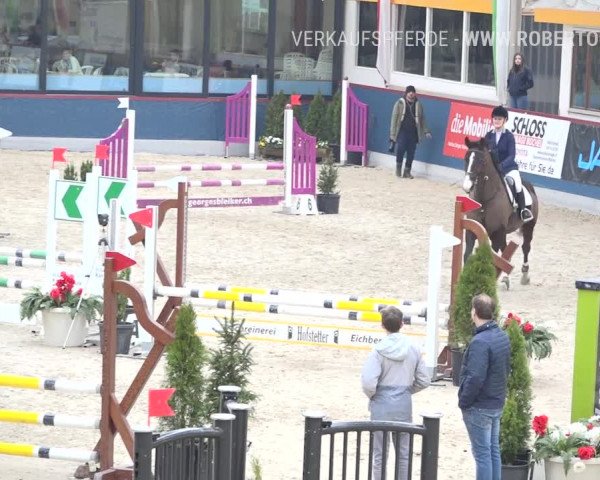 Reitturnier Oberriet 2019