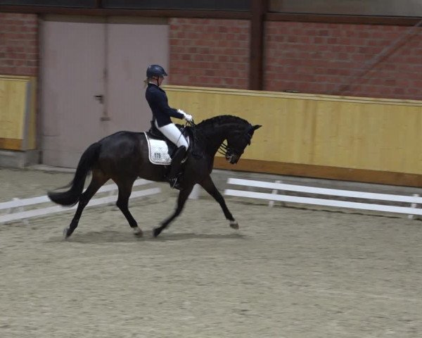 Reitturnier Hamburg-Friedrichshulde/Sylva Kuhrt 2021