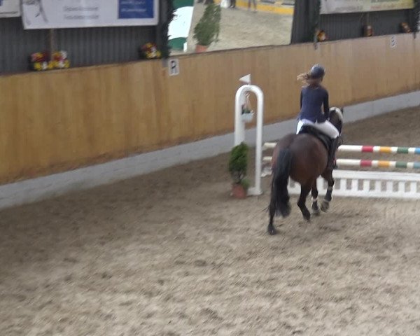 Reitturnier Monheim - Gut Blee 2019