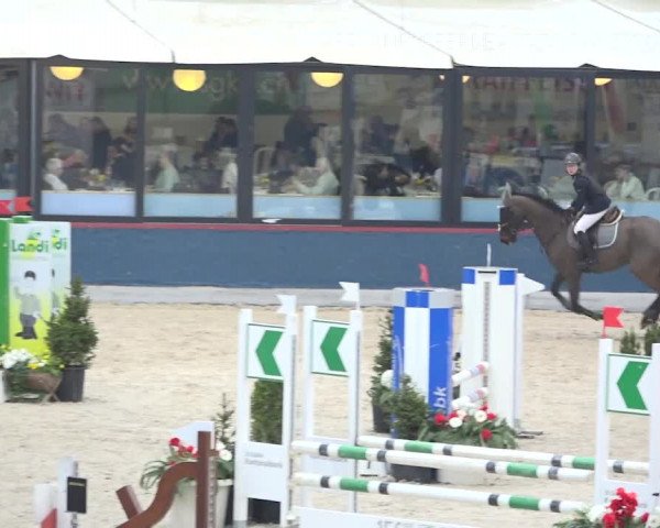 Reitturnier Oberriet 2019