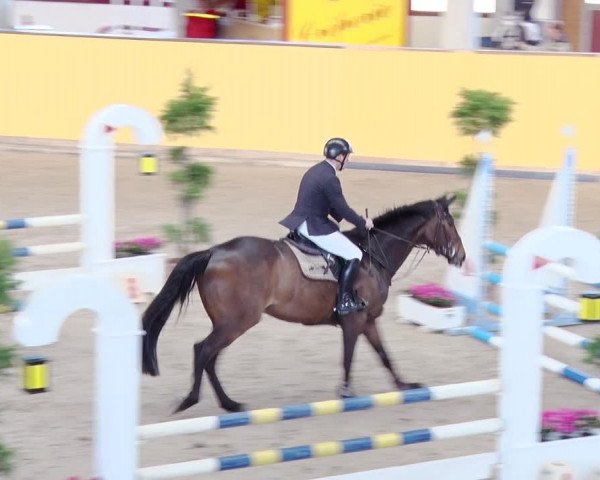 Reitturnier Prussendorf 2019