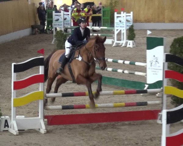 Reitturnier Monheim - Gut Blee 2019