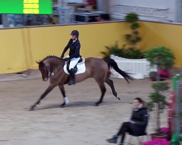 Reitturnier Prussendorf 2019