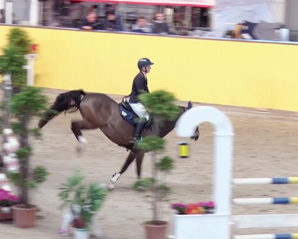 Reitturnier Prussendorf 2019