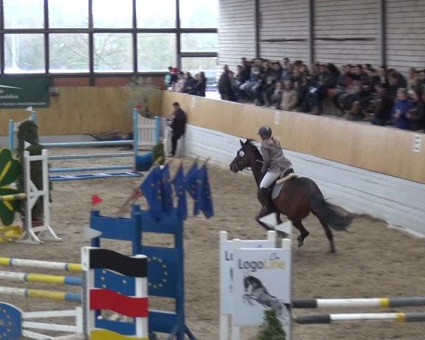 Reitturnier Monheim - Gut Blee 2019