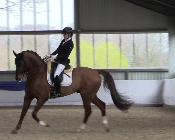 Reitturnier Greven 2019