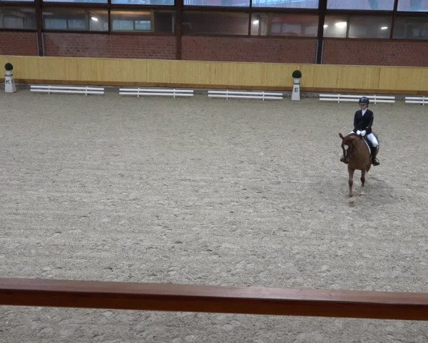 Reitturnier Hamburg-Friedrichshulde/Sylva Kuhrt 2021