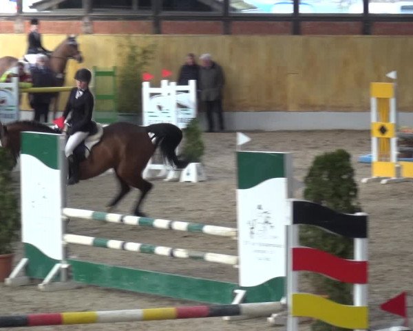 Reitturnier Monheim - Gut Blee 2019