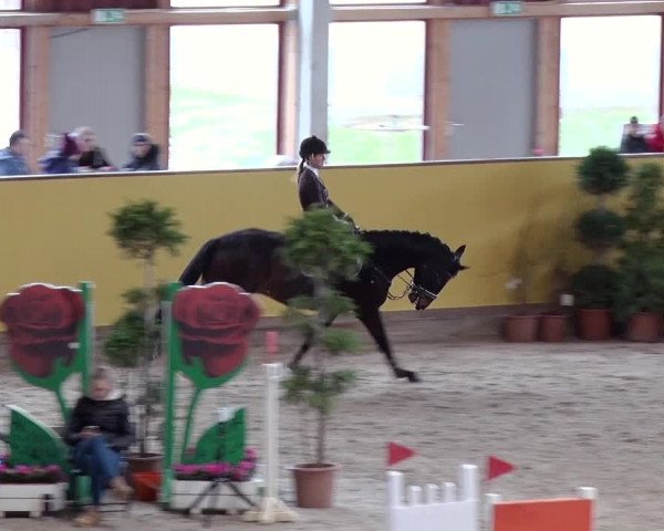 Reitturnier Prussendorf 2019