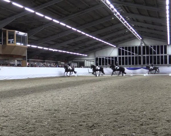 Reitturnier Greven 2019