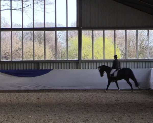 Reitturnier Greven 2019