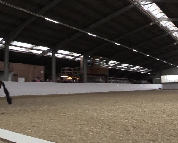 Reitturnier Greven 2019