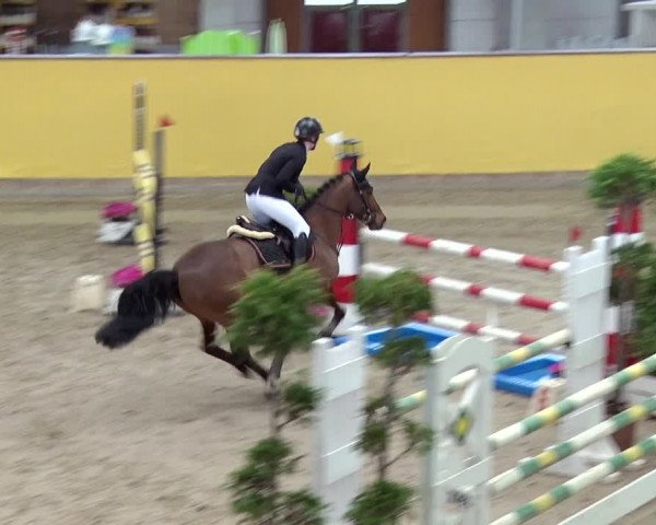 Reitturnier Prussendorf 2019