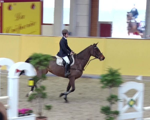Reitturnier Prussendorf 2019