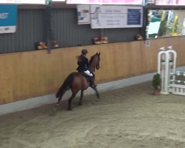 Reitturnier Monheim - Gut Blee 2019