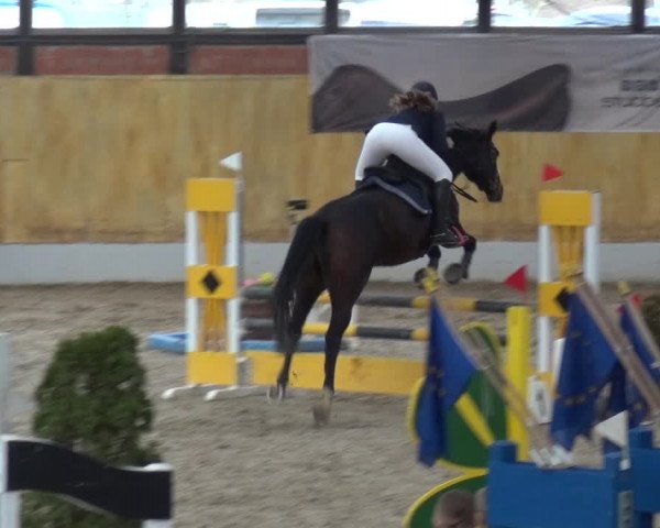Reitturnier Monheim - Gut Blee 2019