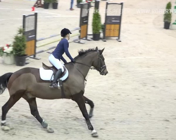 Reitturnier Oberriet 2019