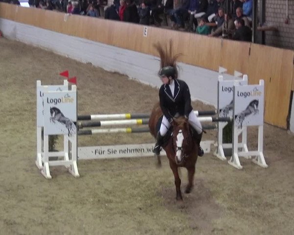 Reitturnier Monheim - Gut Blee 2019