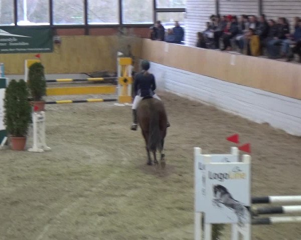 Reitturnier Monheim - Gut Blee 2019