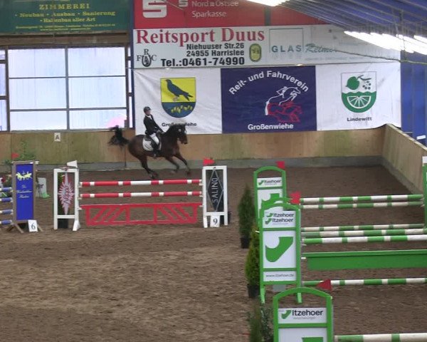 Reitturnier Großenwiehe 2019