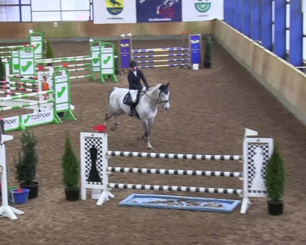 Reitturnier Großenwiehe 2019