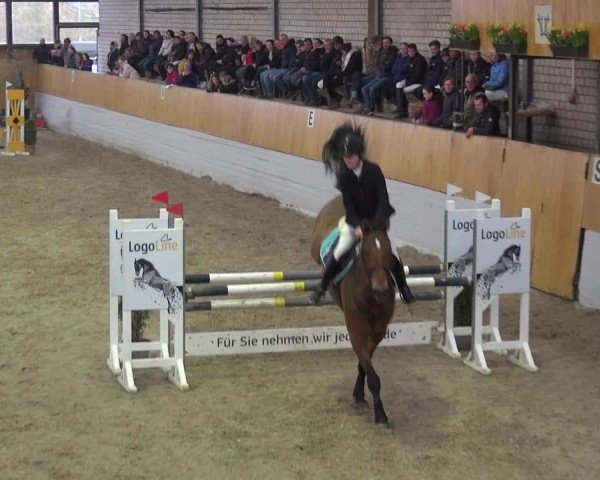 Reitturnier Monheim - Gut Blee 2019