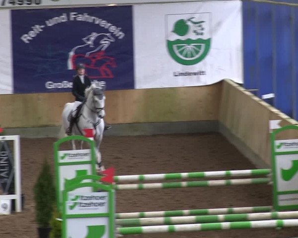 Reitturnier Großenwiehe 2019
